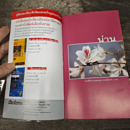 น่าน เที่ยวทั่วไทยไปกับนายรอบรู้ รูปที่ 6