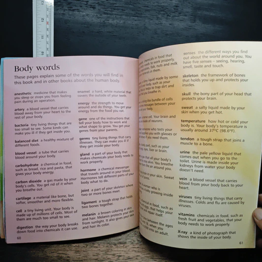 Usborne First Encyclopedia of the Human Body รูปที่ 8