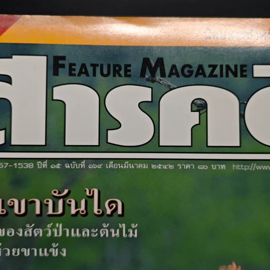 Feature Magazine สารคดี ฉบับที่ 169 ปีที่ 15 มี.ค.2542 รูปที่ 6