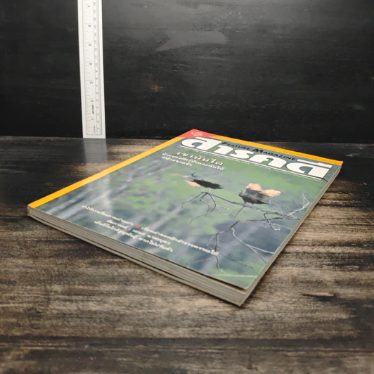 Feature Magazine สารคดี ฉบับที่ 169 ปีที่ 15 มี.ค.2542 รูปที่ 4