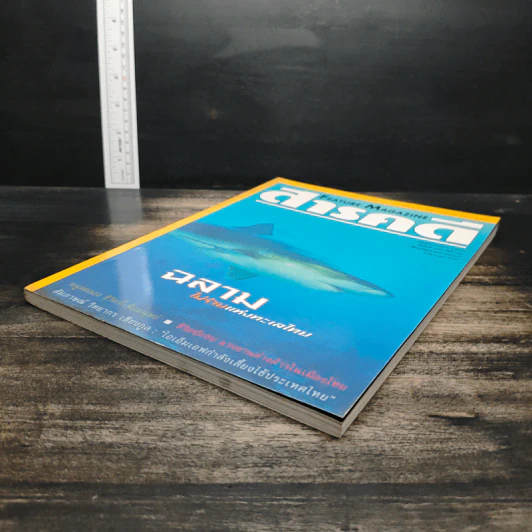 Feature Magazine สารคดี ฉบับที่ 160 ปีที่ 14 มิ.ย.2541 รูปที่ 4