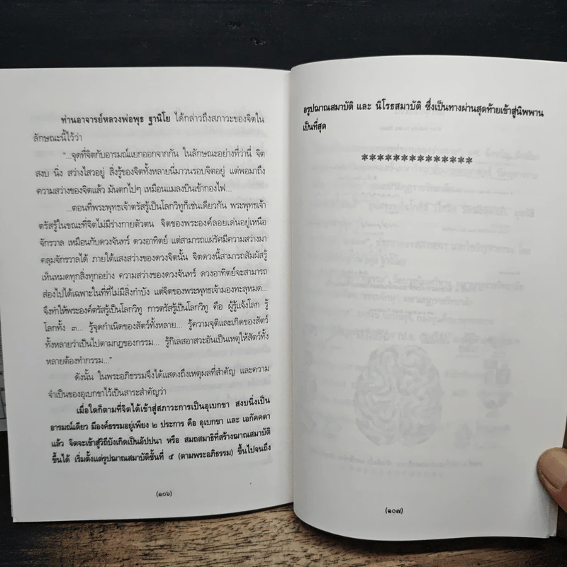 สัจจบารมีของพระบาทสมเด็จพระเจ้าอยู่หัว รูปที่ 10