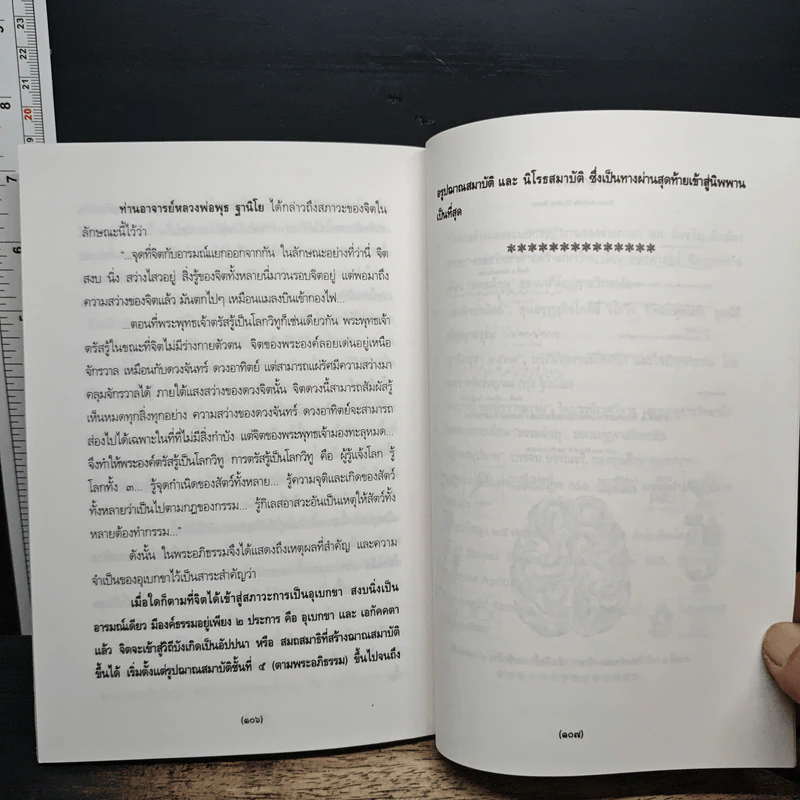 สัจจบารมีของพระบาทสมเด็จพระเจ้าอยู่หัว รูปที่ 9