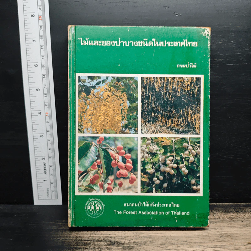 ไม้และของป่าบางชนิดในประเทศไทย รูปที่ 1
