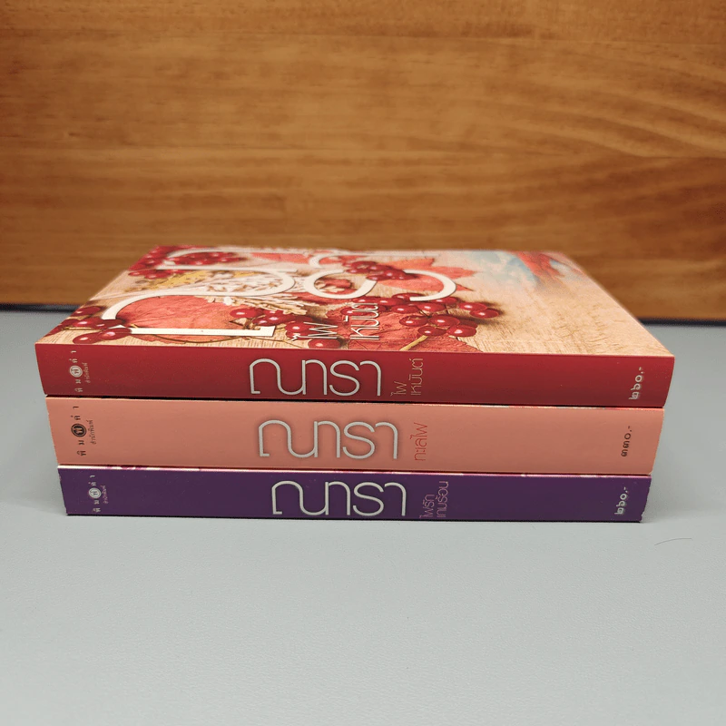 Boxset ซีรีส์รักคือไฟ 3 เล่มจบ - ณารา รูปที่ 6