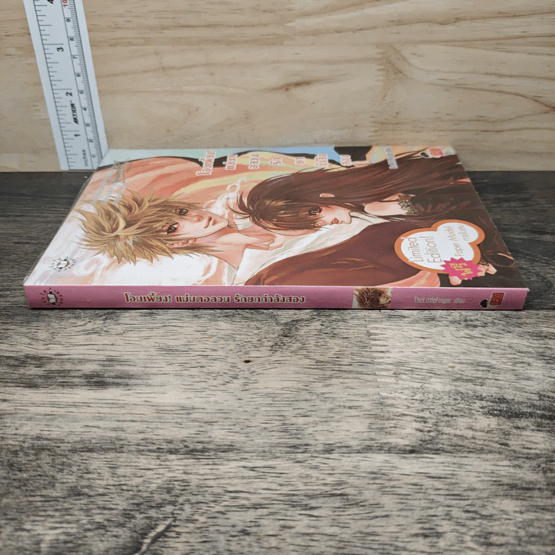 โอมเพี้ยง! แม่มดอลวนรักยกกำลังสอง - TheLittleFinger รูปที่ 2