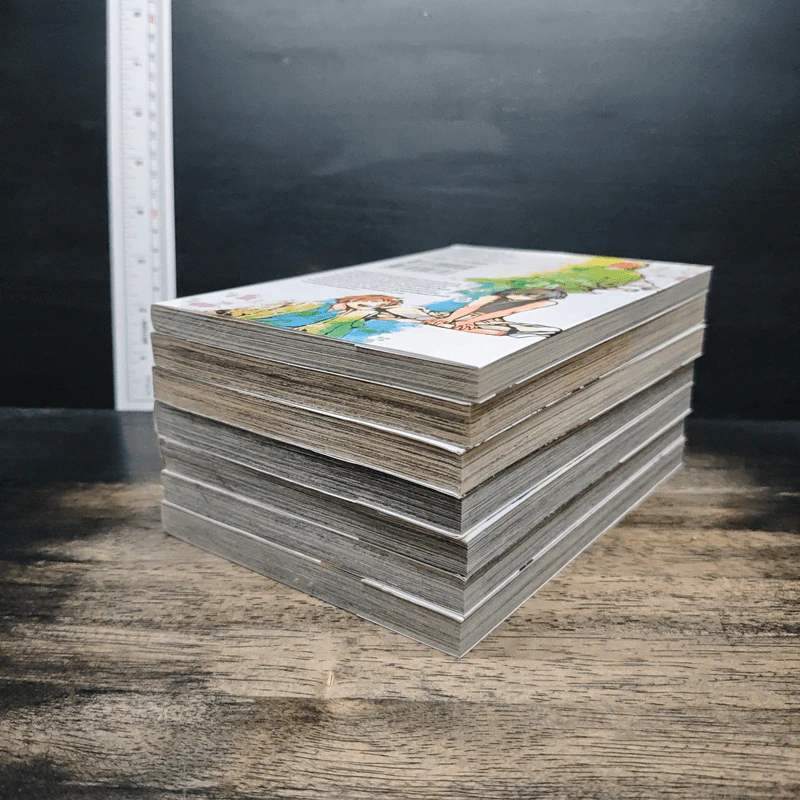 ย้อนอดีตทะลุมิติ  AMATSUKI เล่ม 1-7 รูปที่ 3