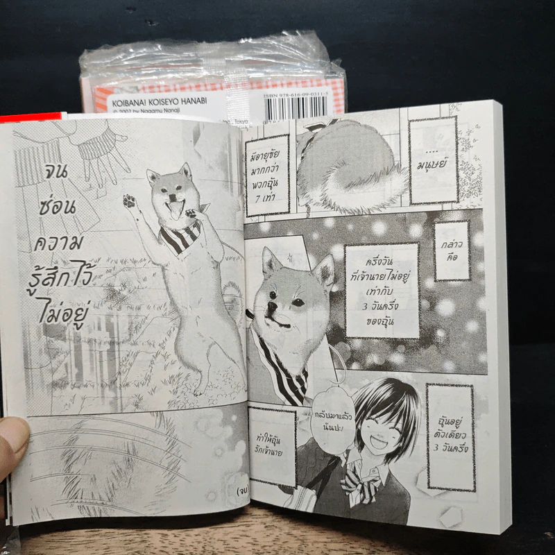ฮานาบิ สาวใสหัวใจว้าวุ่น เล่ม 1-5 รูปที่ 9