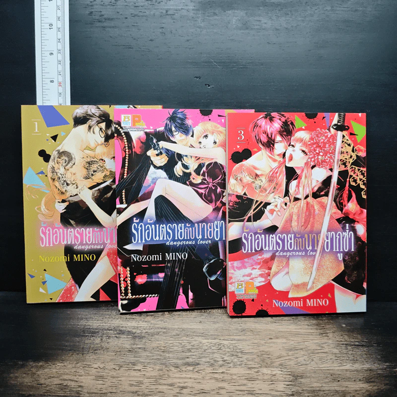 รักอันตรายกับนายยากูซ่า เล่ม 1-3 - Nozomi MINO รูปที่ 1