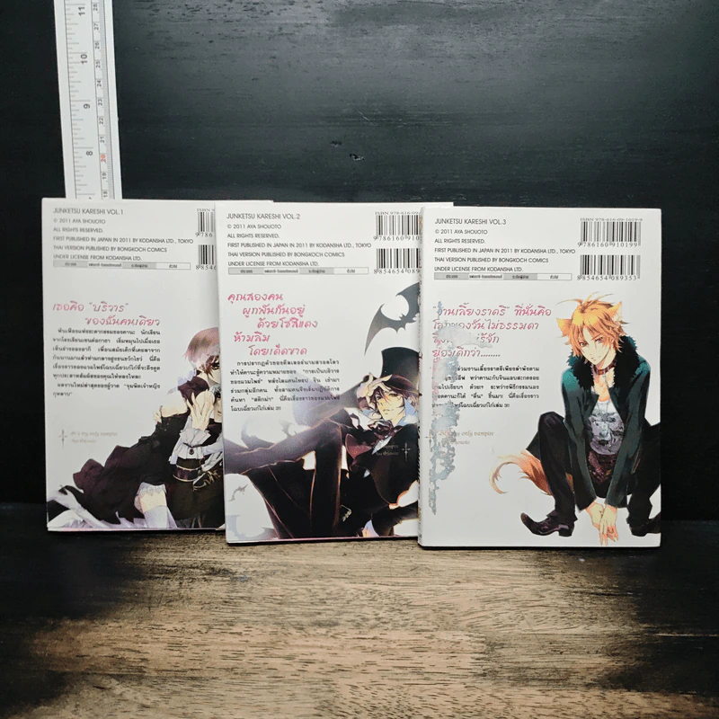 เสน่ห์ร้าย+นายแวมไพร์ เล่ม 1-3 - AYA SHOUOTO รูปที่ 2