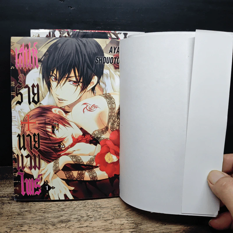 เสน่ห์ร้าย+นายแวมไพร์ เล่ม 1-3 - AYA SHOUOTO รูปที่ 6