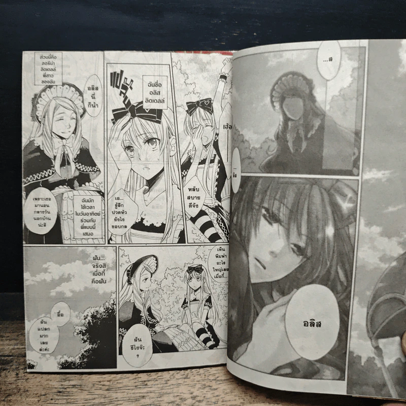 อลิสในแดนหัวใจ ~Wonderful Wonder World~ เล่ม 1-2 รูปที่ 8