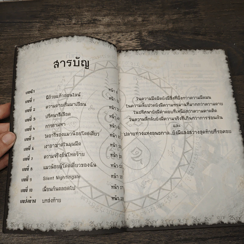 การิน ปริศนาคดีอาถรรพ์ เกมเชื่อมความตายออนไลน์มรณะ - อัยย์ รูปที่ 7