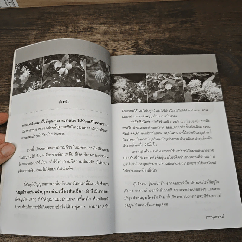 สมุนไพรเพิ่มพลังบุรุษ - ภาณุทรรศน์ รูปที่ 7