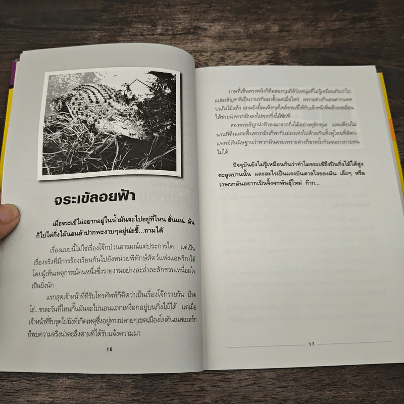 คนแปลกเรื่องประหลาดจากทั่วโลก - รวิโรจน์ รูปที่ 8