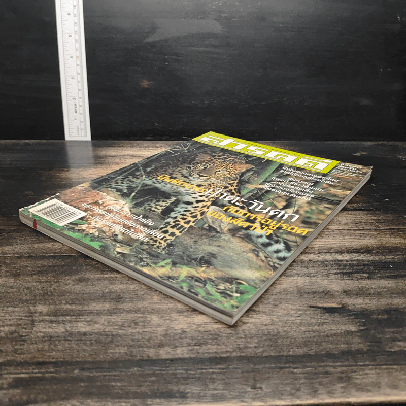 สารคดี ปีที่ 18 ฉบับที่ 213 พ.ย.2545 รูปที่ 4