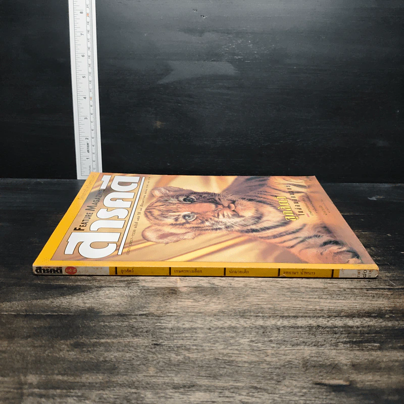 Feature Magazine สารคดี ฉบับที่ 155 ปีที่ 13 ม.ค.2541 รูปที่ 3