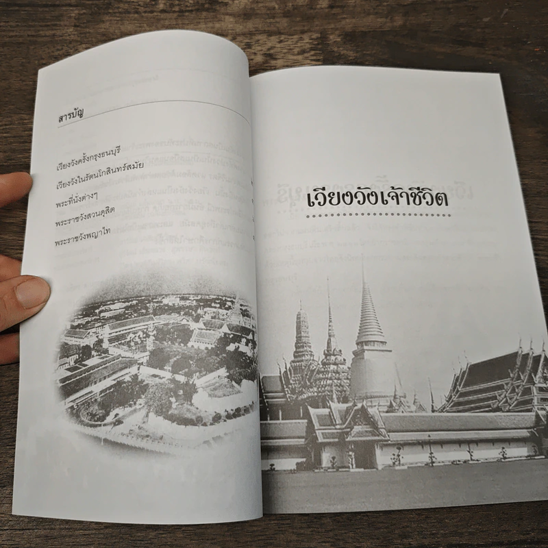 เวียงวังเจ้าชีวิต - เวนิสา เสนีวงศ์ฯ รูปที่ 7