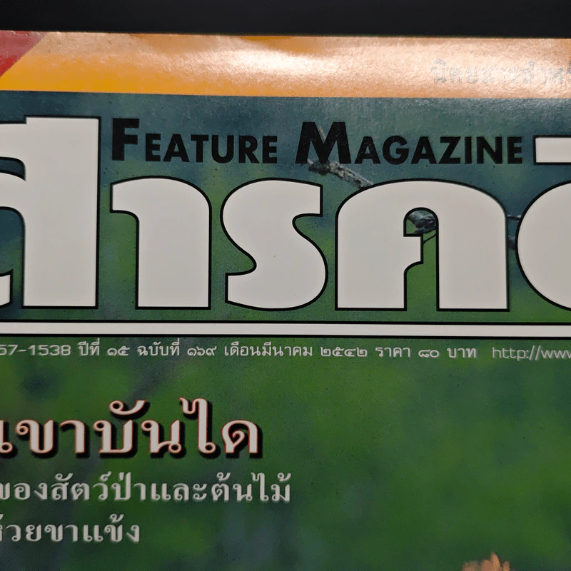 Feature Magazine สารคดี ฉบับที่ 169 ปีที่ 15 มี.ค.2542 รูปที่ 6