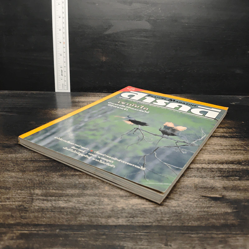 Feature Magazine สารคดี ฉบับที่ 169 ปีที่ 15 มี.ค.2542 รูปที่ 4