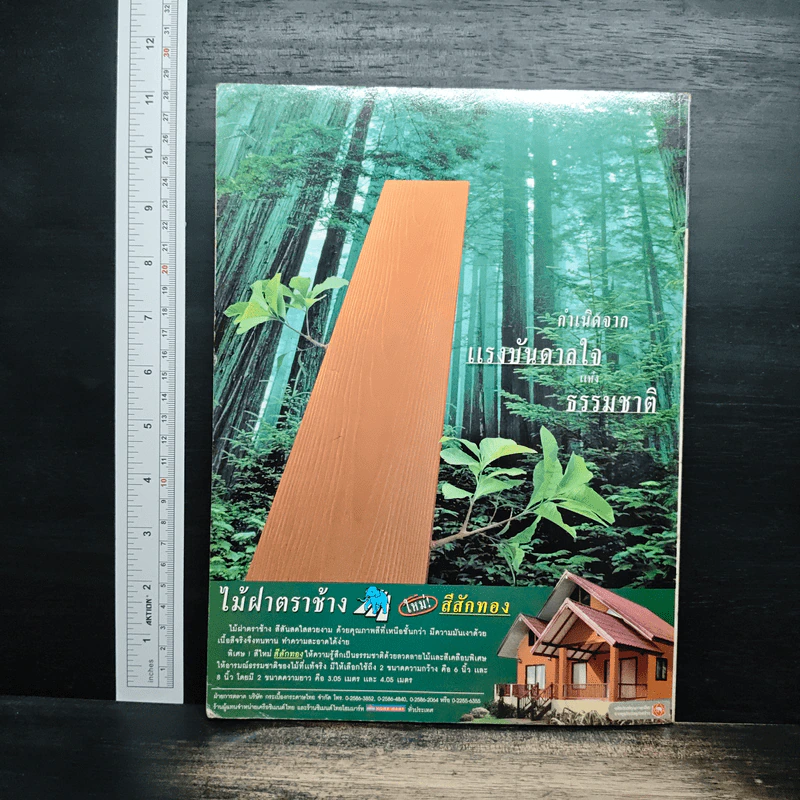 ศิลปวัฒนธรรม ปีที่ 23 ฉบับที่ 1 พ.ย.2544 รูปที่ 2