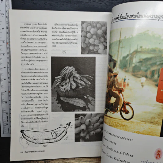 วิทยาศาสตร์และเทคโนโลยี ปีที่ 10 ฉบับที่ 1 ม.ค-เม.ย 2538 รูปที่ 8