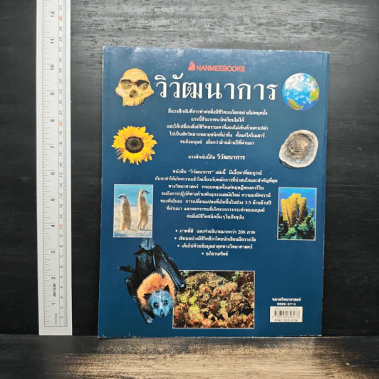 วิวัฒนาการ Evolution - Stephen Webster รูปที่ 2