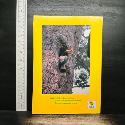 วารสารสัตว์ป่าเมืองไทย ปีที่ 8 ฉบับที่ 1 ธ.ค.2543 รูปที่ 2