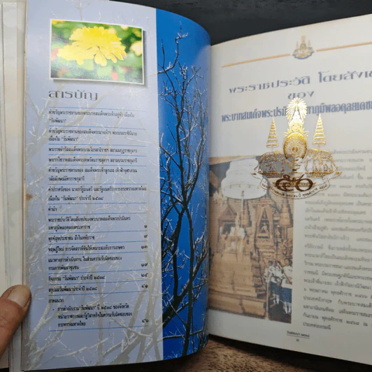 วันพัฒนา รูปที่ 7
