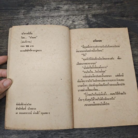 เจ้าสาวชั่วคืน - บัวแดง รูปที่ 6