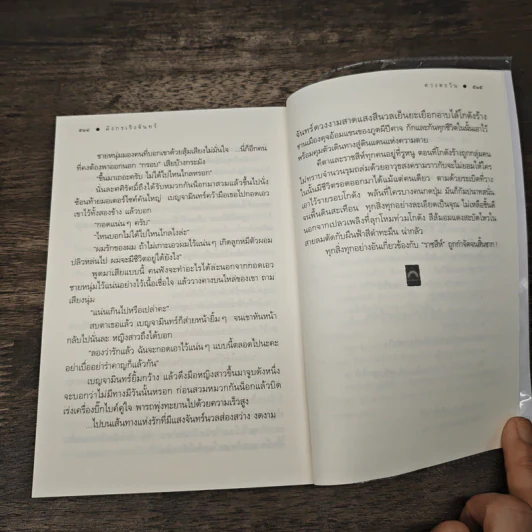 มังกรเริงจันทร์ - ดวงตะวัน รูปที่ 9