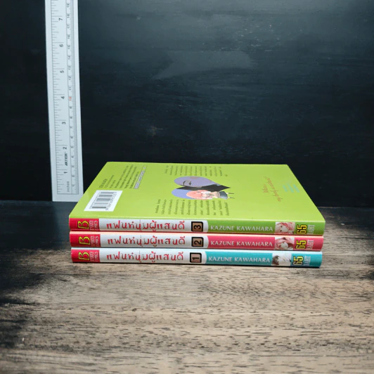 แฟนหนุ่มแสนดี เล่ม 1-3 รูปที่ 3