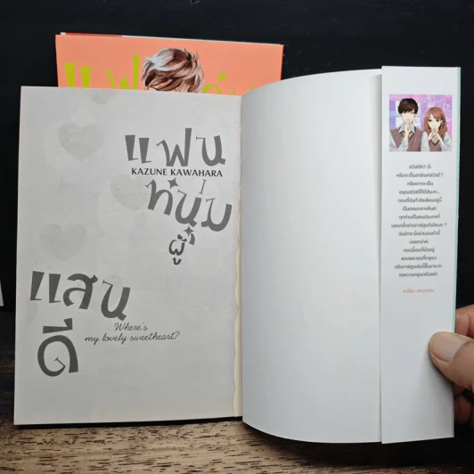 แฟนหนุ่มแสนดี เล่ม 1-3 รูปที่ 6