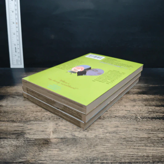 แฟนหนุ่มแสนดี เล่ม 1-3 รูปที่ 4