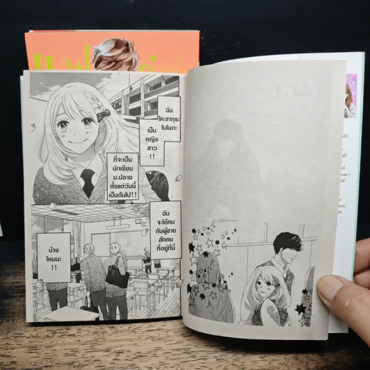 แฟนหนุ่มแสนดี เล่ม 1-3 รูปที่ 7