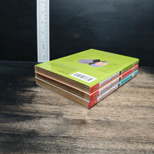 แฟนหนุ่มแสนดี เล่ม 1-3 รูปที่ 5