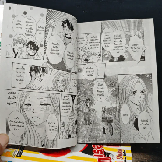 รักเธอนะเจ้าลิงน้อย เล่ม 1-5 รูปที่ 7