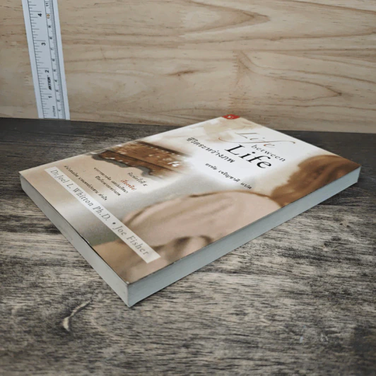 ชีวิตระหว่างภพ Life between Life - Joe L. Whitton  Ph.D., อรทัย เจริญชาติ รูปที่ 3