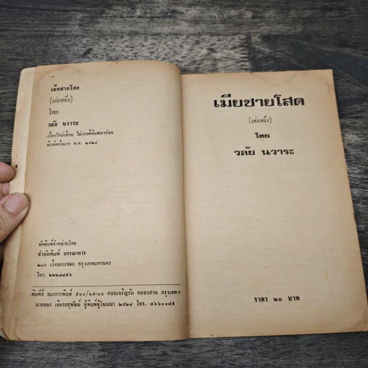 เมียชายโสด 2 เล่มจบ - วลัย นวาระ รูปที่ 6