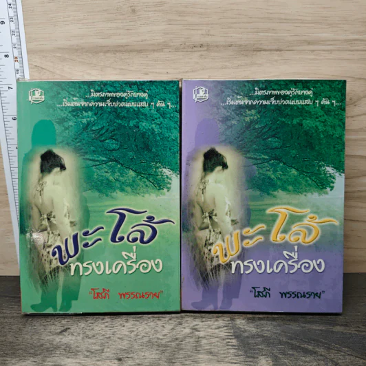 พะโล้ทรงเครื่อง 2 เล่มจบ - โสภี พรรณราย รูปที่ 1