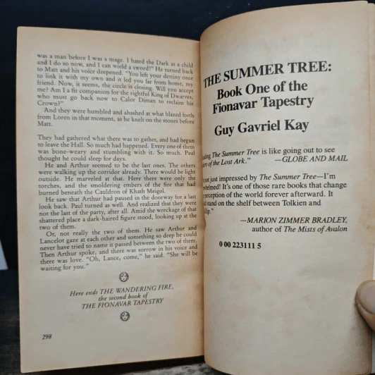The Wandering Fire - Guy Gavriel Kay รูปที่ 8