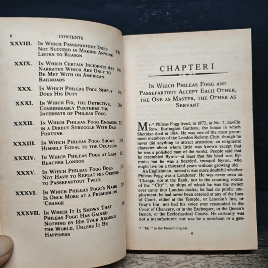 Around the World in Eighty Days - Jules Verne รูปที่ 8