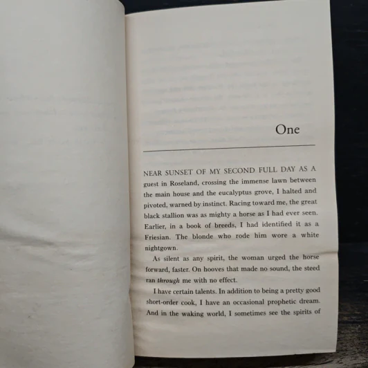 Odd Apocalypse - Dean Koontz รูปที่ 7