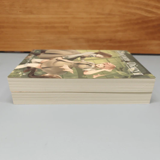 Boxset Lincorn Diary 2 เล่มจบ - กัลฐิดา รูปที่ 8