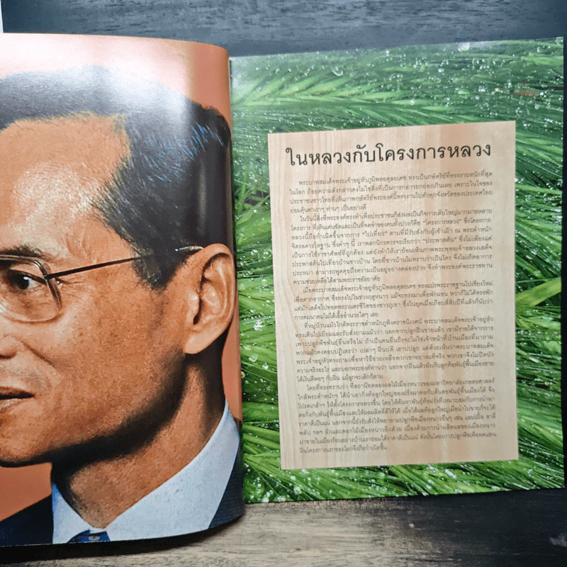 Lips ในหลวงกับโครงการหลวง รูปที่ 7