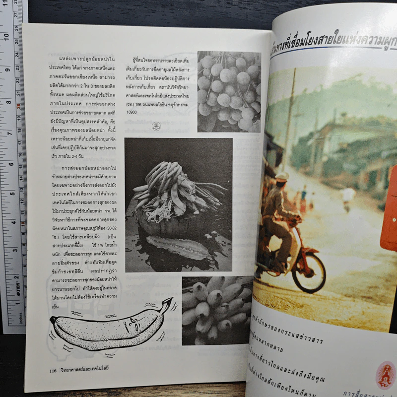 วิทยาศาสตร์และเทคโนโลยี ปีที่ 10 ฉบับที่ 1 ม.ค-เม.ย 2538 รูปที่ 8