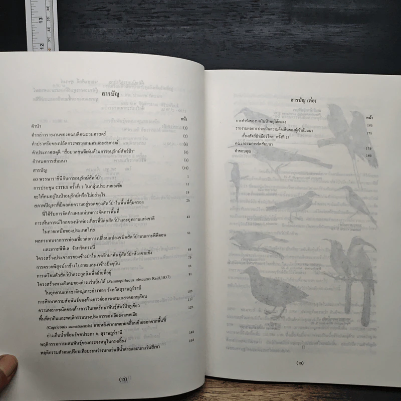 วารสารสัตว์ป่าเมืองไทย ปีที่ 3 ฉบับที่ 1 ธ.ค.2536 รูปที่ 7