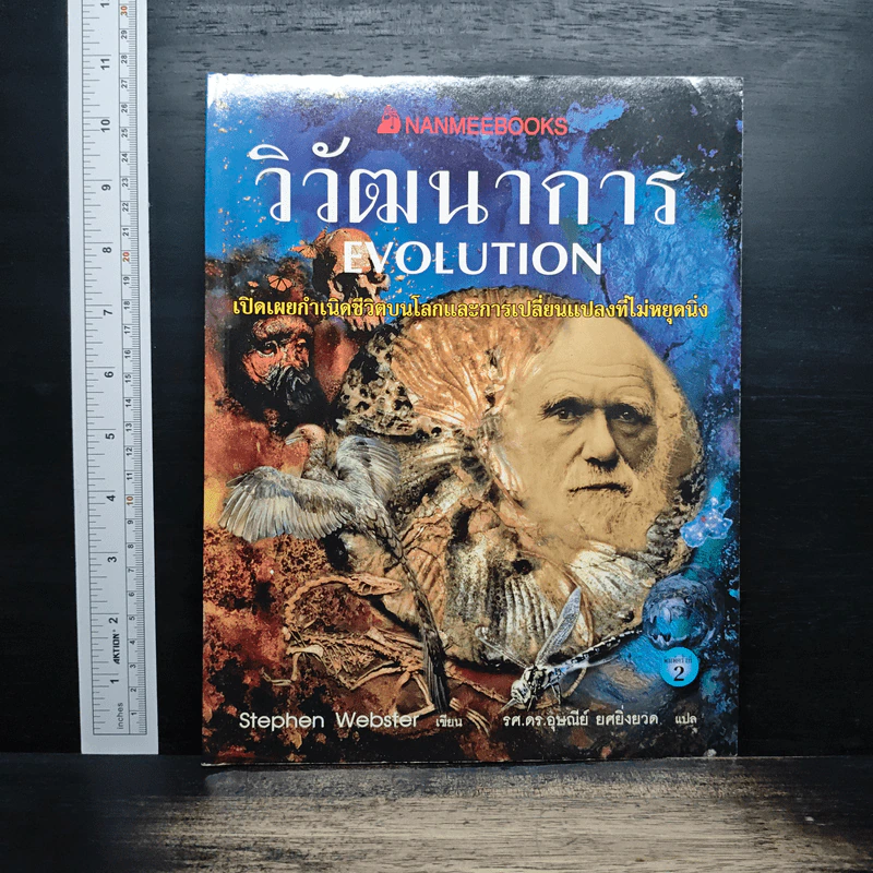 วิวัฒนาการ Evolution - Stephen Webster รูปที่ 1
