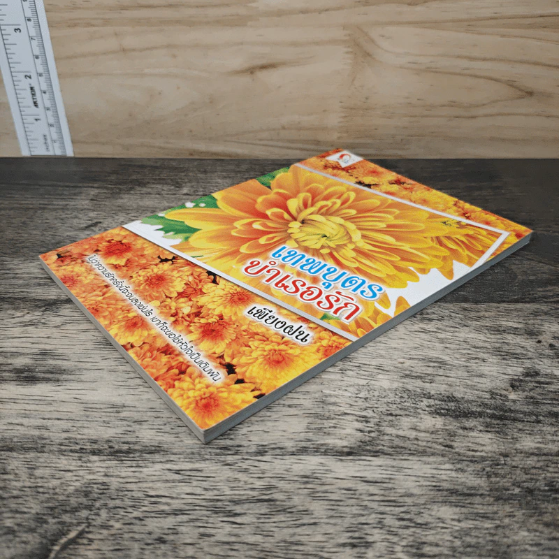 เทพบุตรขำเธอรัก - เพียงฝน รูปที่ 3