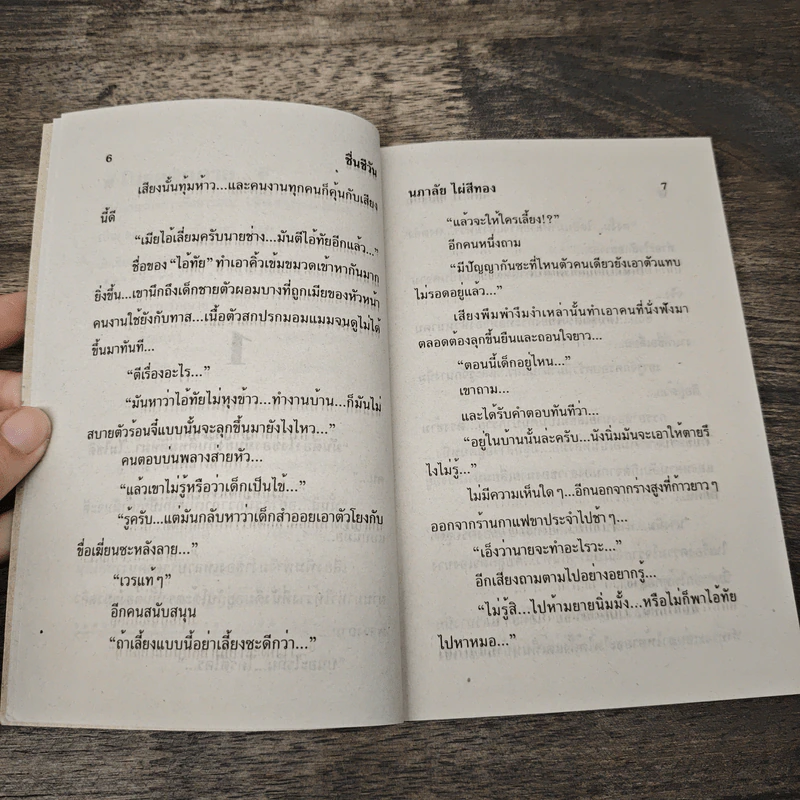 ชื้นชีวัน - นภาลัย ไผ่สีทอง รูปที่ 7